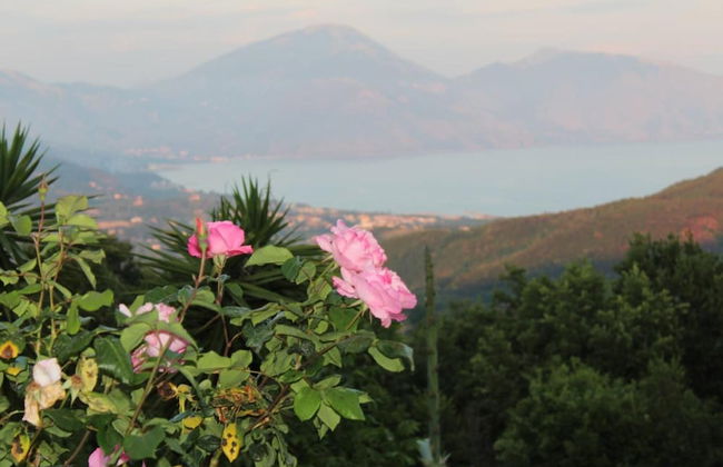 Il Rifugio del Contadino Country House - Photo 41