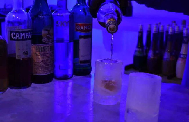 Billet pour l'Icebar Iguazú - Photo 6