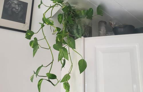 Jolie maison en bois climatisée Proche Lac&Océan - Foto 30