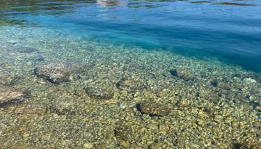 Olivier house - Foto 4