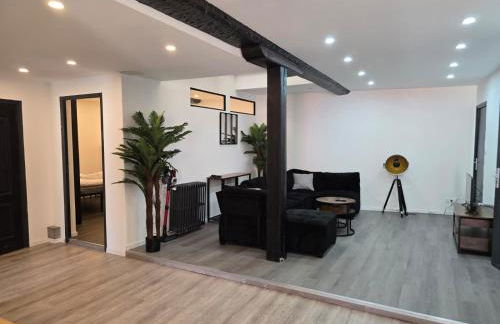 Appartement XXL 120m2 - 10 couchages - 3ch - centre Foix - 2 sdb-2 wc - Parking gratuit à 1 Minute - Foto 30