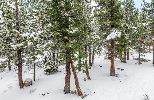 Solstice 21 - Foto 9