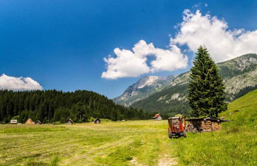 Residence Cavanis Wellness & Spa - Photo 41