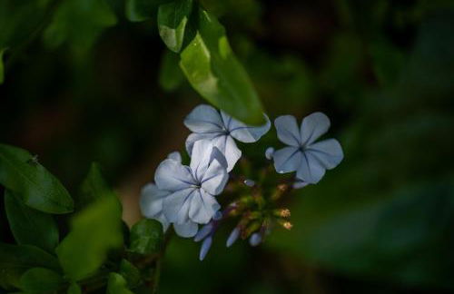 Newly remodeled home w pool & private back yard - Foto 19