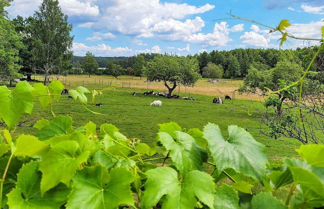 7 Person Holiday Home in Nykvarn-by Traum - Photo 17