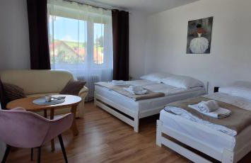 Dom pod Śnieżnikiem - Foto 1