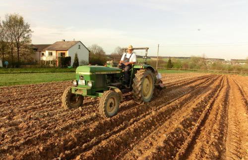 Lindenhof Hahn - Foto 19