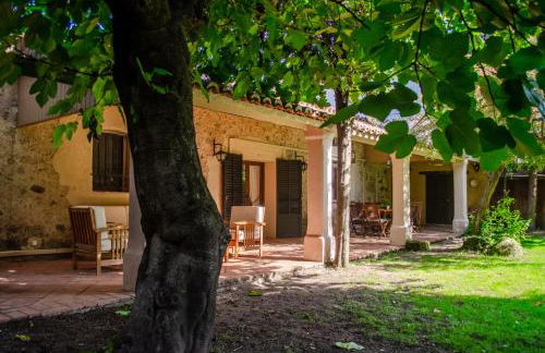 El huerto de Candeleda - Foto 3