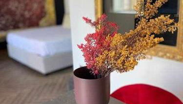 Residenza Agli Scavi - Foto 4