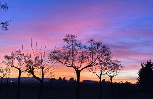 La Cobija Apartamentos - Solo Adultos - Foto 57