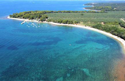 Apartmani Lisicak - Photo 18