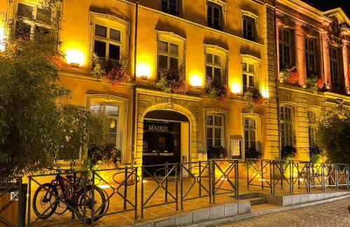 Épinal : superbe appartement en plein centre ville - Foto 18