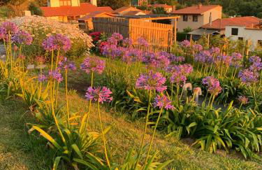 Casa Paloma - Foto 45