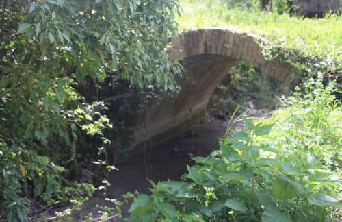 Sul sentiero di Francesco - Foto 18