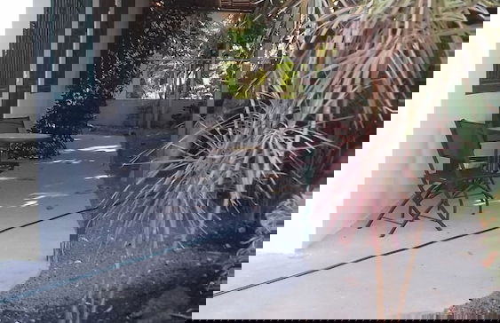 Casa Nelly - Photo 40