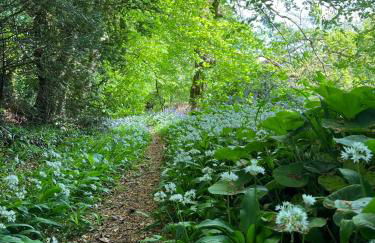 Hollyhocks Holiday Home- 2 bedroomed ground floor apartment sleeps 5 - Foto 32