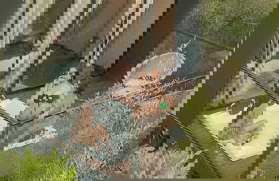 Luum Glamping by Roots Rentals - Photo 18