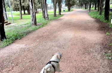 Una Biancasa - Foto 65