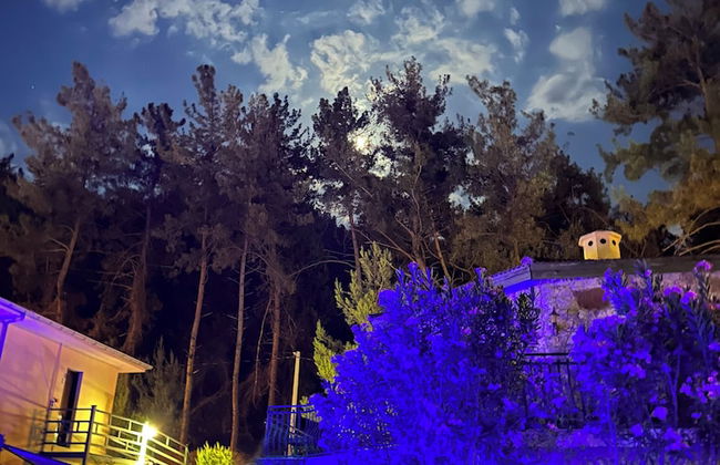 Alp Inn Butik Otel - Foto 33