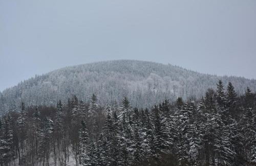 Pod Zielonym Dachem - Foto 21