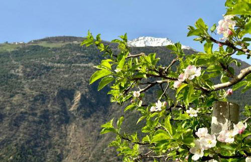 Ferienwohnungen JoJaSa - Foto 75