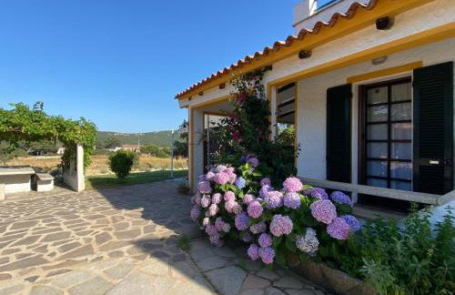 Casa di Campagna in Gallura - Foto 8