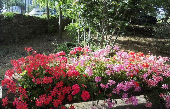 L'infinito - Foto 54