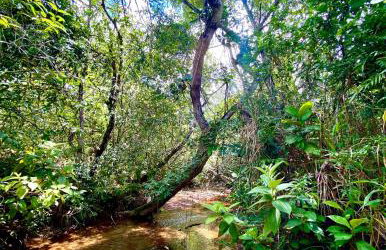 Casa para relaxar em Chapada dos Guimarães - Foto 30