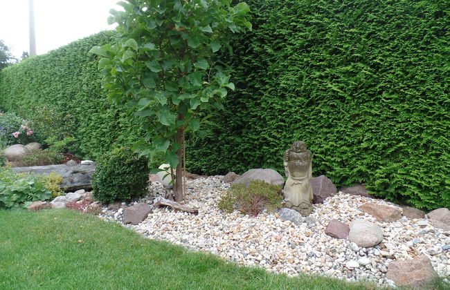 Logis Am Park - Foto 72