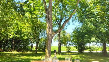 Ferienhaus Maias Muthof - Foto 2, Garden