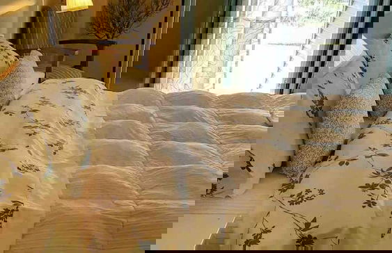 Villa Eleni - Garden Pool Retreat Near Kardamili - Foto 7