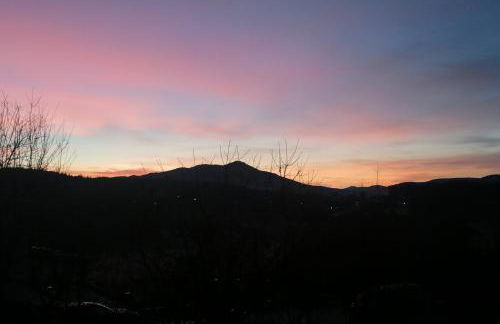 Bayerwald Chalet Liebenstein - Foto 26