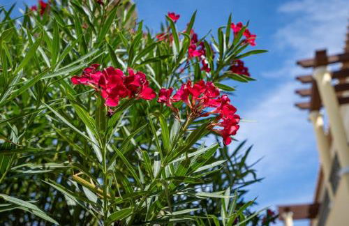 Casa Vista Brejos - Foto 32