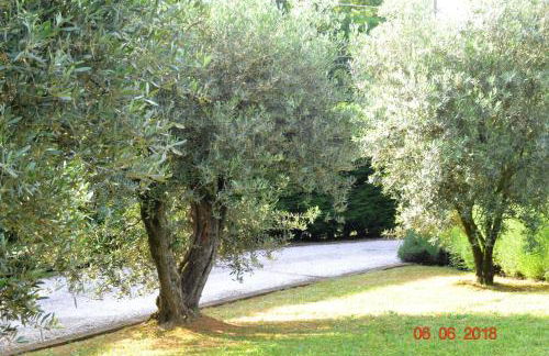 La Colombara - Fra i colli a 5 minuti dall'autodromo - Foto 32