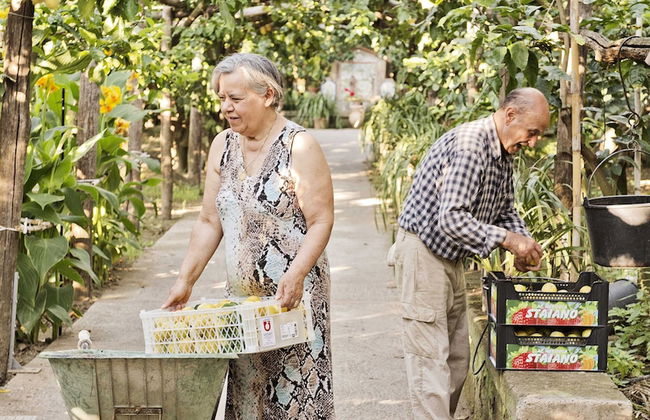 Agriturismo Il Giardino di Vigliano - Foto 48