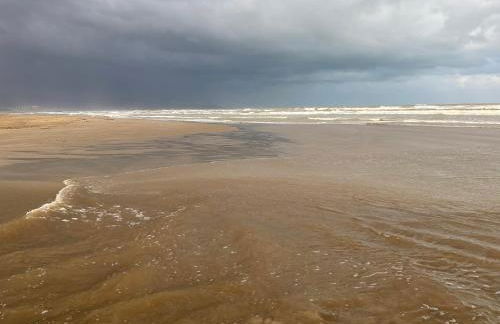 Appartement ‘’Los Pinos’’ 50m de la plage - Photo 27