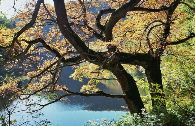 Mechthild and Hans-jurgen Geschwind - Foto 12