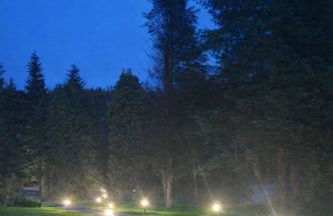 Glenariff Forest Larch Cabin - Foto 11