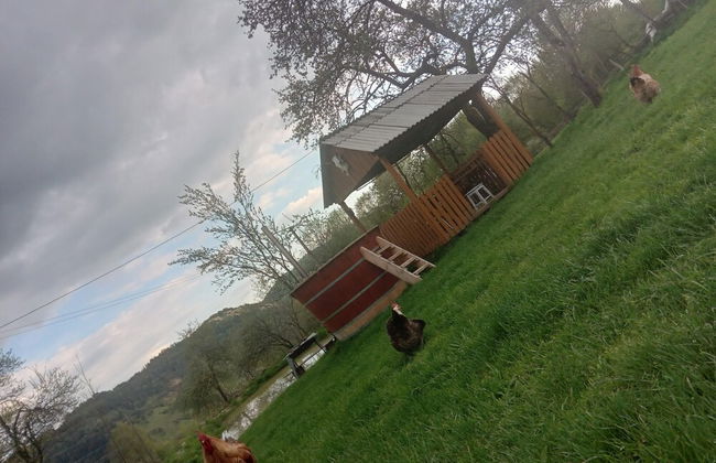 Room in Guest Room - Cozy Rural Retreat in Roşia Montana - Photo 75