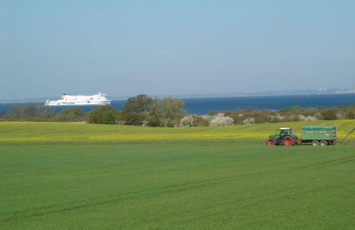 Bei-Schroeter-s - Photo 18