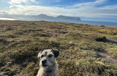 Switha - Luxury home in Stromness, Orkney with outstanding views and hot tub - Photo 38