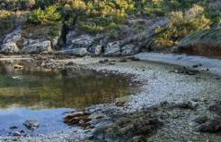 Apartment Kaleta - Foto 50