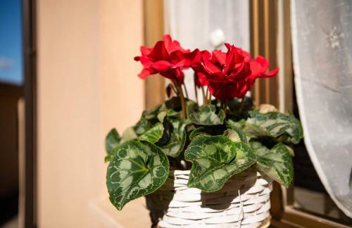 Casa di Stefania - Photo 24