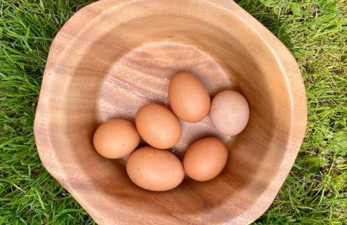 Barn Cottage -Westerlands - Foto 17