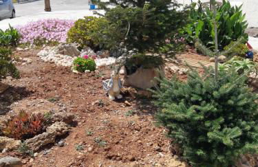 Filia Apartments - Foto 4