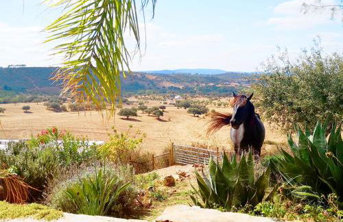 Sharish - Monte Das Estevas - Foto 9