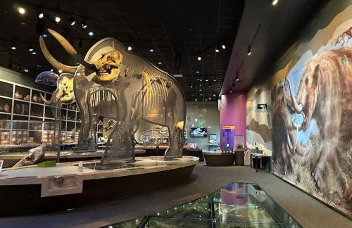 Entire Private Home with 5 Bedrooms 3 Bathrooms, 3000 sqft, Gated Yard, Garage, Nice View, Available Now - Foto 51