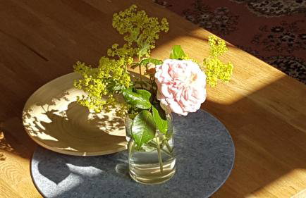 Moltke-Villa - Foto 10