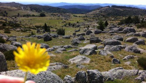 le grenier d'Annick - Foto 3