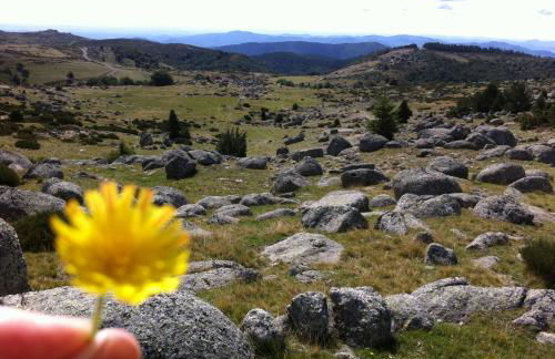 le grenier d'Annick - Foto 3